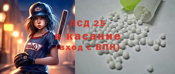 дживик Ельня