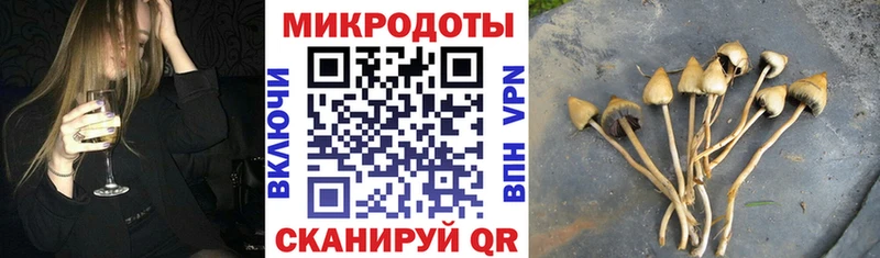 Псилоцибиновые грибы ЛСД  цены наркотик  mega tor  Зеленогорск 
