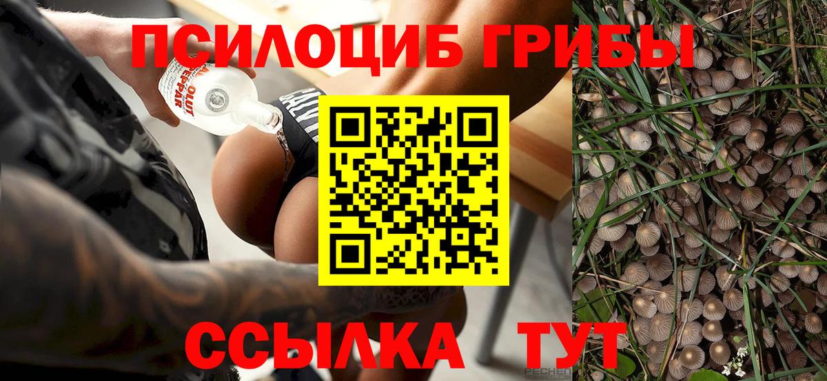 Галлюциногенные грибы прущие грибы  Вход с VPN  Зеленогорск 