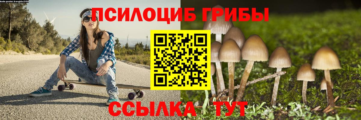 Псилоцибиновые грибы Cubensis  наркошоп  Зеленогорск 