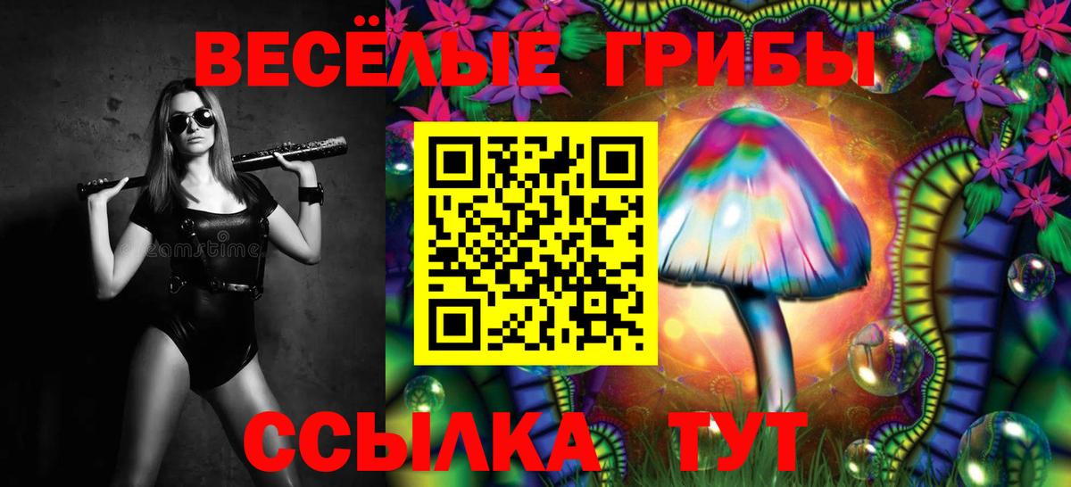 Галлюциногенные грибы ЛСД Зеленогорск